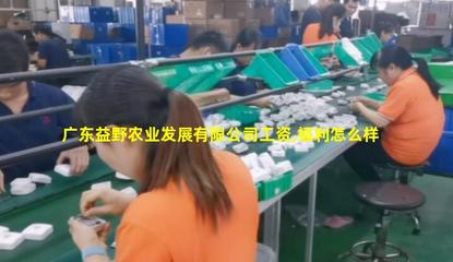 廣東益野農業 領航畜牧漁業飼料銷售，助推現代農牧業發展